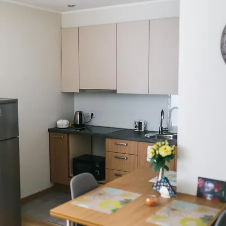 Apartment сozy In Great Location Riga